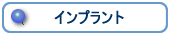 �C���v�����g